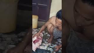 mancing ikan jelawat terbesar