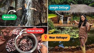 उन्हाळी सुट्टीसाठी कोल्हापुरातील बेस्ट ठिकाण | Waterfall Trek आणि बरच काही #kolhapur #summervacation