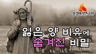 [예수님의 비유] 잃은 양 비유의 숨겨진 비밀