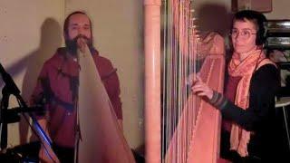 Magical Harmony: Didgeridoo, Cajon and Harp - Sending Shivers Down My Spine