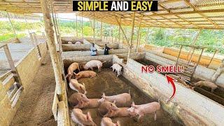 Consider this when going into  piggery farming with Esther Nakajubi of kasanje