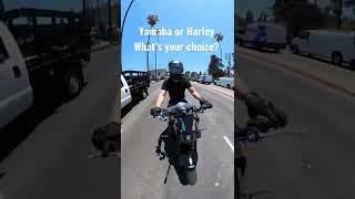 Yamaha vs Harley