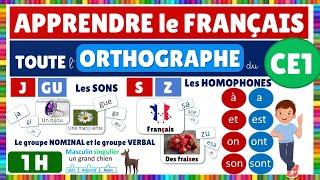 Apprendre toute l'orthographe de CE1