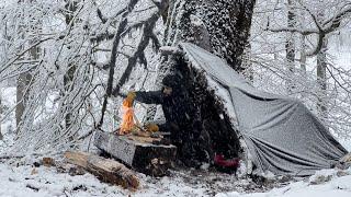 No tent, No sleeping bag - Extreme Winter Survival Camping (-5C )