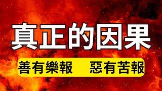 因果律的一個最基本的特征！真正的因果就是善有樂報，惡有苦報！