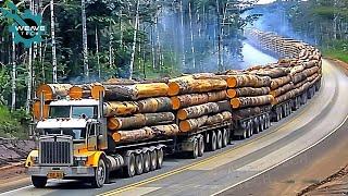 300 Crazy Powerful Wood and Forestry Machines, biggest heavy equipment machines #2