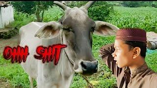 dost ka sath animals ka beech |outing with freind