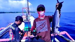 Mancing jigging di laut (kedalaman 50 meter) || Borneo pancing team