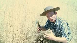 Sickles are not Scythes!