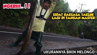 NGERI..‼️ MASTER KEWALAHAN MENGHADAPI SIDAT RAKSASA PENGHUNI PONDASI JEMBATAN | BIG EEL |EEL FISHING