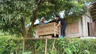 Move the mouse cage to a more manageable location, add a new flock of chicks - Ly Tieu Tuyet