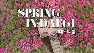 대구의 봄 | Spring in DAEGU - 4K UHD