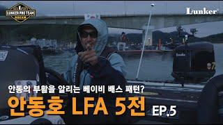 [LPT EP. 05] LFA 정규 5전! 안동의 부활을 알리는 베이비 배스 패턴? / LUNKER TOURNAMENT-LOG [4K]