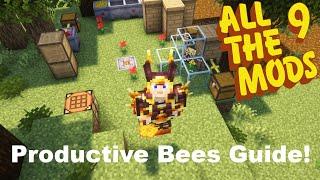 Productive Bees Guide Part 1 The Basics!