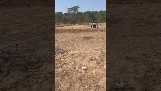 Part 4: building a chicken coop a 24x3.3 meters #poultry #farming #zimbabwe #farming for beginners