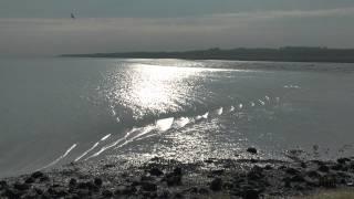 Dutch Wadden Sea, World Heritage UNESCO, 2015