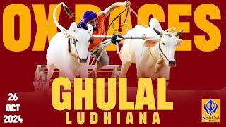 [Live] Ghulal | Ludhiana | ਬਲਦਾਂ ਦੀਆ ਦੌੜਾ | Ox Races | 26 Oct 2024