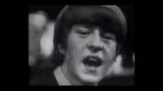 The McCoys - Fever (1966)