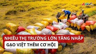 Nhiều thị trường lớn tăng nhập, gạo Việt thêm cơ hội | Truyền hình Hậu Giang