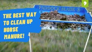 Horse Manure Cleaning On An Uneven Field In Australia - New Lighter Paddock Blade!