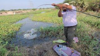 Catching Big Catfish in pond|Big Catfish & Maral fish Catching by Big Hook|Best hook fishing video