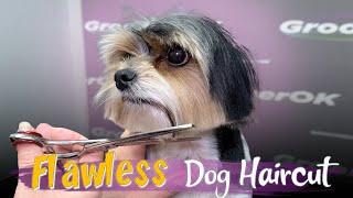 Biewer Terrier Grooming | Step-by-Step Guide for a Perfect Haircut | Pro Grooming Tips & Tricks!