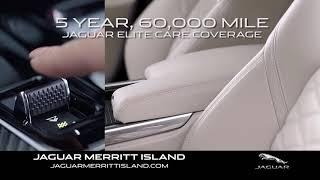 Experience the Art of Performance at Jaguar Merritt Island