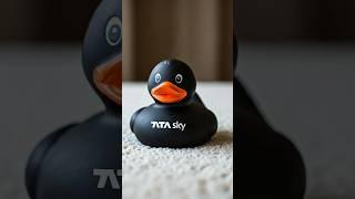 Tata sky duck 