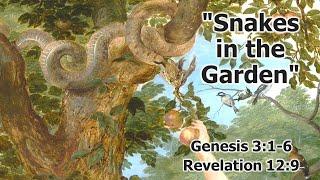 Live Streaming - Rev. Stephanie Cowart - Snakes in the Garden