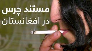 Hashish in Afghanistan | TOLOnews Documentary