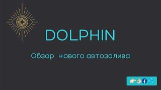 Dolphin. Обзор новой версии автозалива