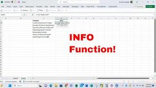 How to use the INFO Function in Microsoft Excel to Get Info on the Working Environment! #howto