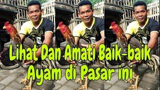 LIHAT DAN AMATI BAIK-BAIK AYAM DI PASAR INI