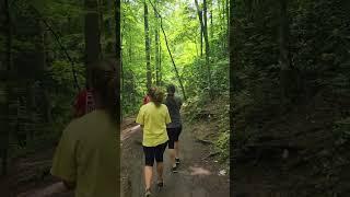 Laurel Falls at Smokey Mountains.  #hike #smokeymountains #waterfall #shorts