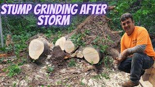 Tree Work and Stump Grinding after a Storm
