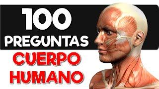 100 Preguntas de ANATOMÍA HUMANA ️ 100 Preguntas del "CUERPO HUMANO"