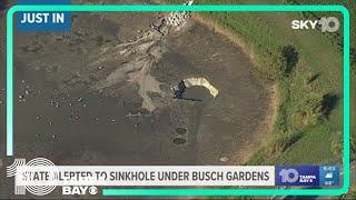 Millions of gallons of wastewater spill into sinkhole at Busch Gardens