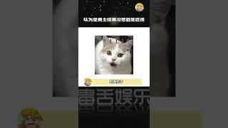 雪豹：你这一叫给我都搞不自信了 #搞笑 #万万没想到#shorts