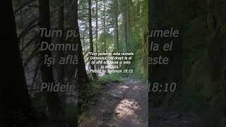 Pildele lui Solomon 18:10 - Cetate a Credinței #creștini #biblie