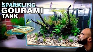 Aquascape Tutorial: SPARKLING GOURAMI Aquarium (How To: Step By Step Planted Tank Build Guide)