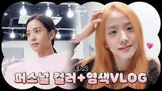 [오늘의 지수] EP.2 PERSONAL COLOR + HAIR DYE VLOG