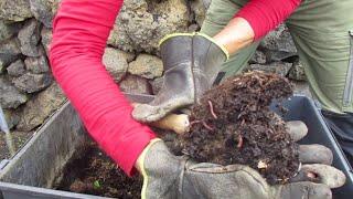 La Palma Finca Bijo - Kompost, der Motor des Gemüsegartens - im Winter geht auch hier nicht alles