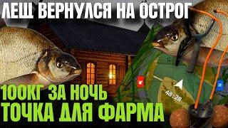 ЛЕЩ ВЕРНУЛСЯ НА ОСТРОГ | 100 КГ ЛЕЩА ЗА НОЧЬ | ТОЧКА ДЛЯ ФАРМА | Русская Рыбалка 4