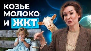 ЖЕЛУДОЧНО-КИШЕЧНЫЙ ТРАКТ И КОЗЬЕ МОЛОКО. СОВЕТУЕТ ВРАЧ