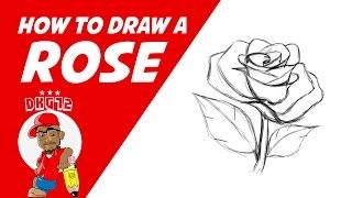 How to draw a Rose - Drawing with DKG72