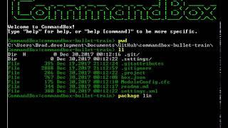 CommandBox Package Link for Module Development
