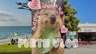 [ENG] My first trip to PerthᅵRottnest IslandᅵTake a selfie with QuokkaᅵGood restaurants in Perth