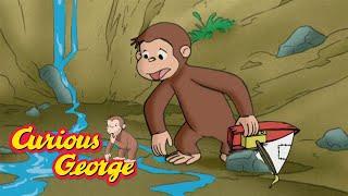 What Happened To The Pond?  Curious George  Kids Cartoon  Kids Movies