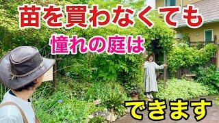 【目からウロコ】庭作りに沢山の変わった植物は要りません　　　　　　　　　　【カーメン君】【三村さん】【個人庭】