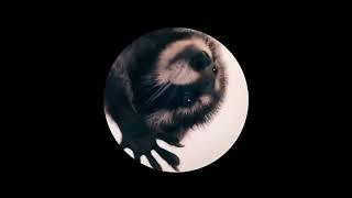 Pedro Pedro Pedro (Techno Remix Extended) TikTok Raccoon Dancing